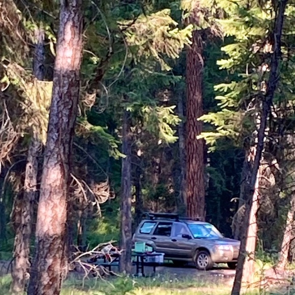 Meet your Posher, Gabriela - Picture 4 of 7